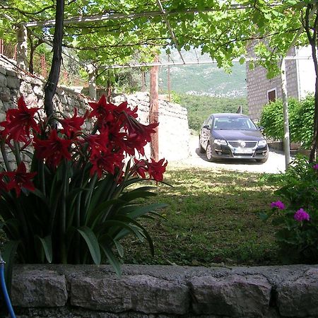 Apartments Midzor Petrovac Εξωτερικό φωτογραφία